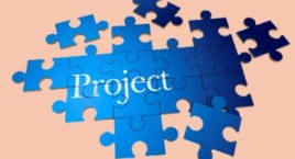  The project application 